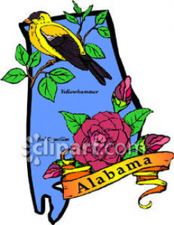 State Bird and Flower of Alabama - Royalty Free Clipart Picture
