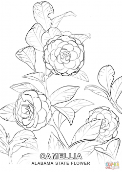 Alabama State Flower coloring page | Free Printable Coloring Pages