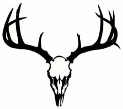 Dear Skull | Deer Skull image - vector clip art online, royalty free ...