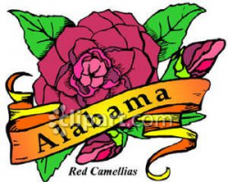 State Flower of Alabama, the Red Camellias Royalty Free Clipart ...