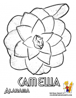 flower Page Printable Coloring Sheets | Flower Coloring Sheets ...