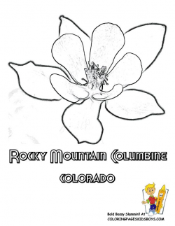 33 best Free Flourishing Flower Coloring Pages images on Pinterest ...