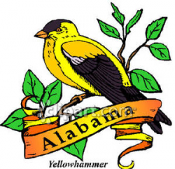 State Bird of Alabama, the Yellowhammer Royalty Free Clipart Picture