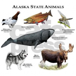 Alaska State Animals Framed Tile by WildlifeArts2
