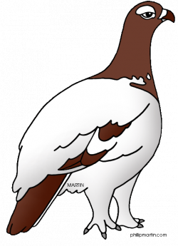 State Bird of Alaska - Willow | Clipart Panda - Free Clipart Images