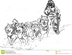 sled dog coloring pages | Stock Photo: Alaskan sled dogs | print ...