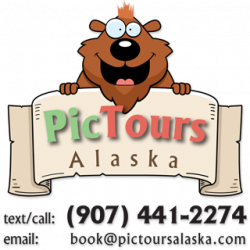 PicTours Alaska
