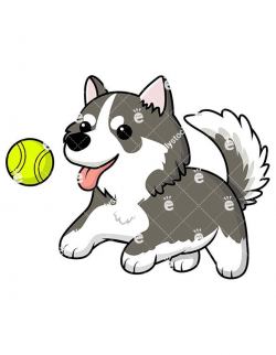 Joyful Husky Chasing A Tennis Ball Vector Cartoon Clipart | Husky ...