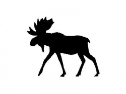 Silhouette Moose at GetDrawings.com | Free for personal use ...