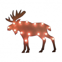 166 best I Moose Be Crazy images on Pinterest | Elk, Animal kingdom ...