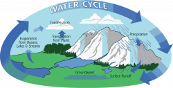 Water Cycle Clipart (49+)