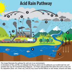 What is Acid Rain? | Acid Rain | US EPA