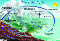 Illustration of the water cycle (source: the official website of the ...
