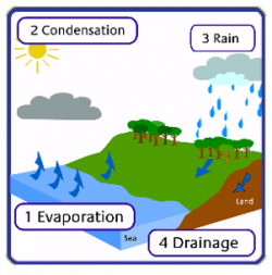 Water Cycle Clip Art - Cliparts.co