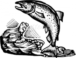 salmon | illustration | Pinterest | Salmon and Fish art