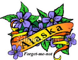State Flower of Alaska, the Forget-me-not Royalty Free Clipart Picture