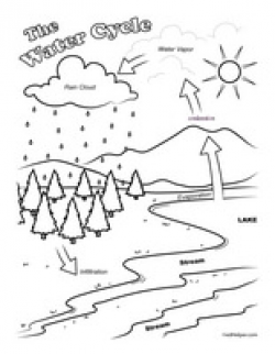 Water Cycle Worksheets | edHelper.com