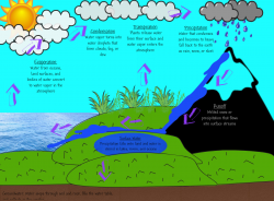 28+ Collection of Water Cycle Clipart For Kids | High quality, free ...