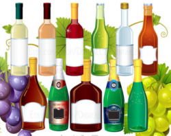 Drink clipart Wine clipart Alcohol clipart Bottle clipart