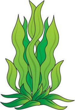 cartoon algae - Google-haku | web | Pinterest
