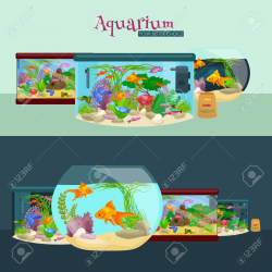 Algae clipart fish tank plant - Pencil and in color algae clipart ...