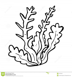 Algae Coloring Pages #16194