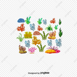 Colorful Corals And Algae, Marine Plants, Seaweed, Algae ...