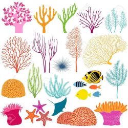 coral reef stencils - Google Search | new homeschool art classes ...
