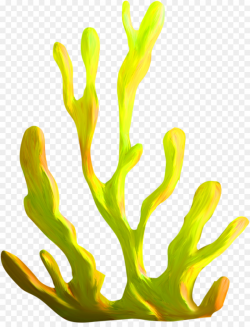 Algae Coral Plant Clip art - coral png download - 1155*1498 - Free ...