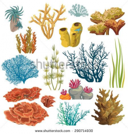 Set of cartoon underwater plants and creatures. Vector isolated ...