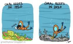 Green Humour: The Coral Calamity