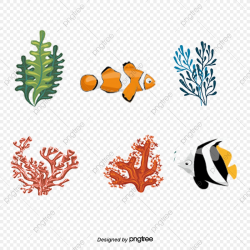 Colorful Coral Reef Fish, Marine Life, Seaweed, Algae Plant ...