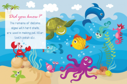 30 Educative And Fun Water Animal Facts For Kids