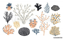 Collection of various corals and seaweed or algae isolated on white ...