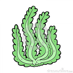 Algae Cartoon Cliparts Free Download Clip Art - carwad.net