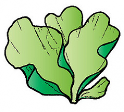 Sea Weed Clipart | Free download best Sea Weed Clipart on ClipArtMag.com
