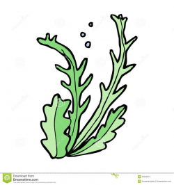 Green Algae Drawing at GetDrawings.com | Free for personal use Green ...