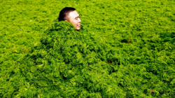 PsBattle: Happy man in algae world : photoshopbattles