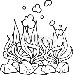 Red Algae Drawing at GetDrawings.com | Free for personal use Red ...