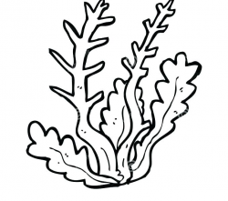 Sea Weed Coloring Pages# 2674802