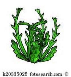 Seaweed Clip Art Illustrations 6,143 seaweed clipart EPS, Pond Weed ...