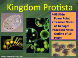 Protista Kingdom (Algae and Protozoa) PowerPoint and Notes by Amy ...