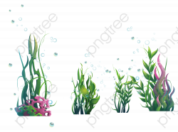 Download for free 10 PNG Algae clipart ocean plant Images ...