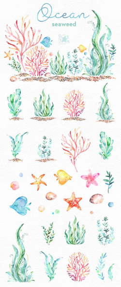 Ocean. Seaweed. Underwater watercolor clip art, water plants ...