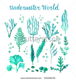 Marine Life clipart sea plant - Pencil and in color marine life ...