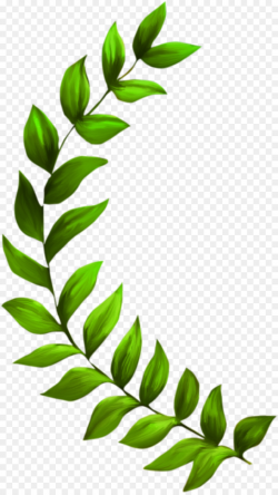 Seagrass Plant Seaweed Clip art - grass png download - 1078*1911 ...