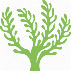 Green Grass Background clipart - Seaweed, Sea, Plants ...