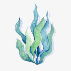 Watercolor Algae, Seaweed, Green, Blue PNG Image and Clipart for ...