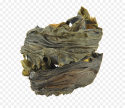 Kelp Edible seaweed Algae Food - seaweed png download - 700*773 ...