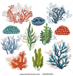 Set of cartoon underwater plants and creatures. Vector isolated ...